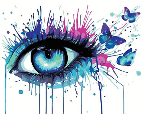 Malen nach Zahlen Kits, Amiiba blaues Auge und Schmetterling, 40,6 x 50,8 cm, Acryl, Malen nach Zahlen, Wandkunst (Auge, mit Rahmen) von Amiiba