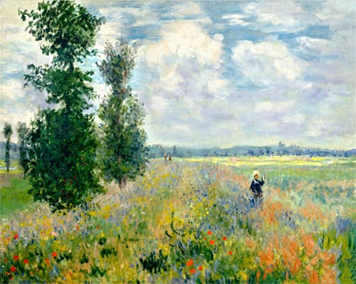 Malen nach Zahlen Kits Amiiba Mohnfeld von Monet 40,6 x 50,8 cm Acryl Gemälde nach Zahlen Wandkunst Basteln (Mohnblumen, ohne Rahmen) von Amiiba