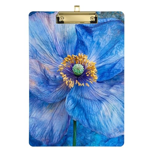 Klemmbrett / Klemmbrett / Therapie-Klemmbrett, A4, Standard-Loch, für Krankenpfleger, Studenten, Handel, Tablas para escribir Größe 22,9 x 30,5 cm, Blau Klemmbrett / Klemmbrett / Therapie-Klemmbrett, A4, Standard-Loch, für Krankenpfleger, Studenten, Handel, Tablas para escribir Größe 22,9 x 30,5 cm, Blau von Amooorous