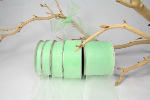 Mint Green Organza Sheer Ribbon-25 Yards X 1.5 Inches by AmoreCreations von AmoreCreations