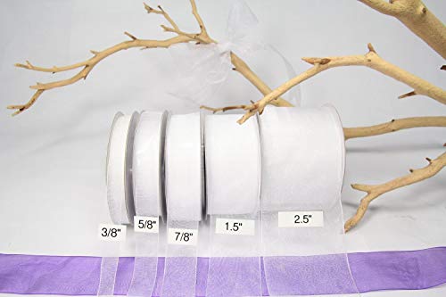 White Organza Sheer Ribbon-25 Yards X 7/8 Inches by AmoreCreations von AmoreCreations