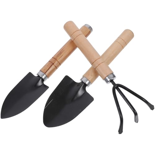Amosfun 1 Satz Satz Gartenwerkzeug-Set Rasen Rechen Transplantation klein graben Gartenharke gartenarbeit set Gartenwerkzeug für die Gartenarbeit saftige Werkzeuge Blumenspaten Eisen Black von Amosfun