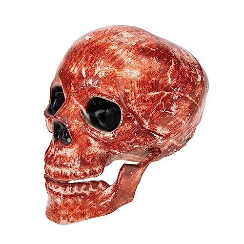Amosfun Angst Halloween Schädel Dekoration Kunststoff Schädel Dekoration 1:1 Ornament Für Zubehör Amosfun Angst Halloween Schädel Dekoration Kunststoff Schädel Dekoration 1:1 Ornament Für Zubehör von Amosfun
