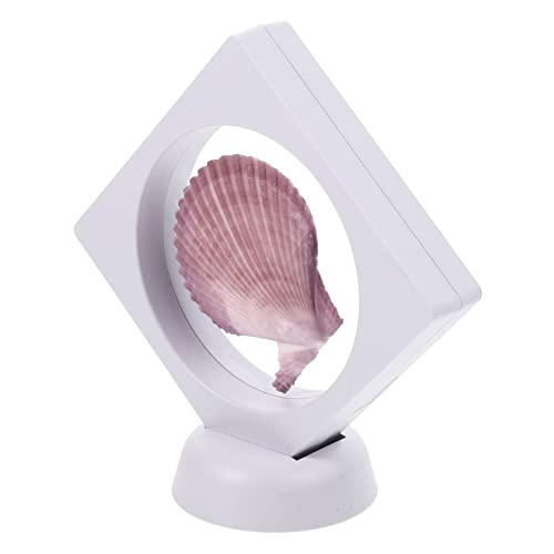 Amosfun Muscheldekorationen Muscheln Zur Dekoration Conch Für Tischplatte Seashell Tischplatte Conch Schreibtischdekorationen DIY Conch Adorn Conch Decor Amosfun Muscheldekorationen Muscheln Zur Dekoration Conch Für Tischplatte Seashell Tischplatte Conch Schreibtischdekorationen DIY Conch Adorn Conch Decor von Amosfun