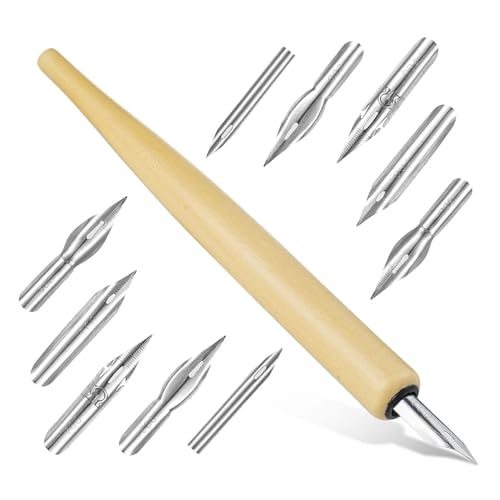 Amusingtao Federhalter Kalligraphie-Set, 1 Federhalter, 10 Federn, Kalligraphiestifte, Tauchstift, Füllfederhalter, Holzfarbe von Amusingtao