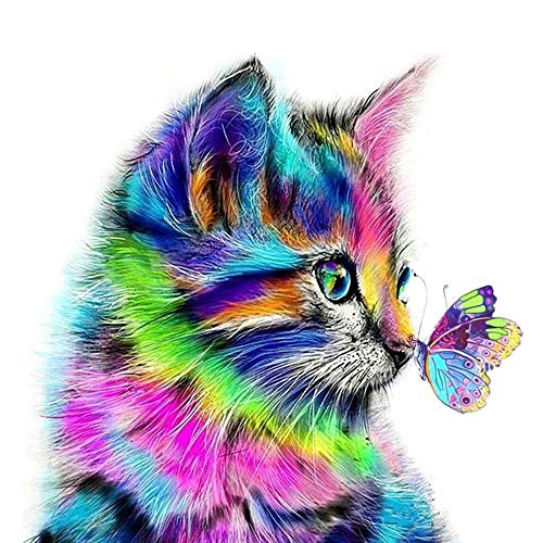 AmzKoi Malere Kits, DIY 5D Diamond Painting Set Katze, Malen nach Zahlen, Bilder Arts Craft für Home Wand-Decor 30 x 30 cm von AmzKoi