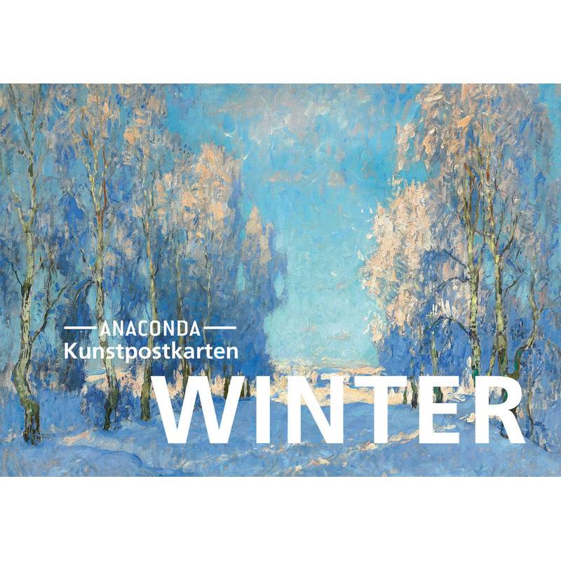 Postkarten-Set Winter, Kartoniert (TB) von Anaconda