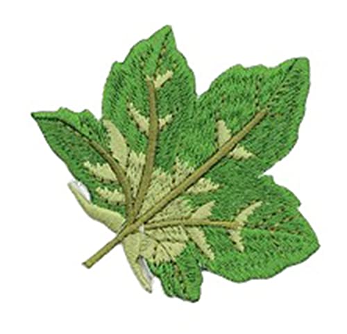 Anawakia Aufnäher Bügelbild Ahornblatt Stickerei Patch Aufnäher Patches von Ahornblatt Stickerei (Grün) von Anawakia