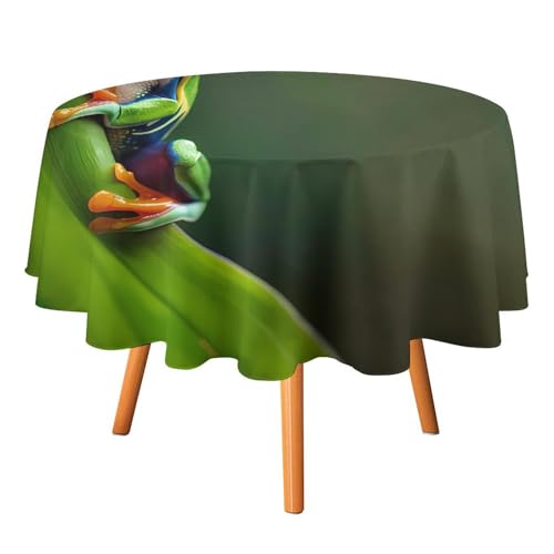 Tischdecke mit Frosch-Motiv, rotäugiger Laubfrosch, rund, dekorative Tischdecke für Veranstaltungen, Hochzeiten, Bankette und Partys, 127 x 127 cm Tischdecke mit Frosch-Motiv, rotäugiger Laubfrosch, rund, dekorative Tischdecke für Veranstaltungen, Hochzeiten, Bankette und Partys, 127 x 127 cm von Anceky