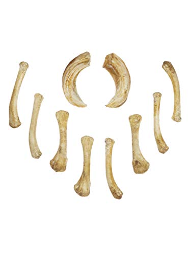 Andracor - handbemaltes Knochenset aus Gießharz - Wahrsager - 8 Hühnerbeine & 2 Wildschweinhauer - individuell einsetzbar für LARP, Mittelalter, Hexen & Zauberer, Fantasy & Cosplay Andracor - handbemaltes Knochenset aus Gießharz - Wahrsager - 8 Hühnerbeine & 2 Wildschweinhauer - individuell einsetzbar für LARP, Mittelalter, Hexen & Zauberer, Fantasy & Cosplay von Andracor