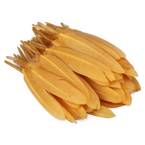 Anevous 100 Stück Federn, Federn zum Basteln Federn Lang Bastelfedern zum Karnival Dekoration, Feder Deko für DIY Basteln, Traumfänger, Hochzeit Deko, Kopfschmucksfedern Ohrring,Gold von Anevous