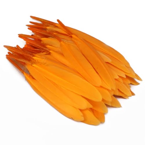 Anevous 100 Stück Federn, Federn zum Basteln Federn Lang Bastelfedern zum Karnival Dekoration, Feder Deko für DIY Basteln, Traumfänger, Hochzeit Deko, Kopfschmucksfedern Ohrring,Goldorange Anevous 100 Stück Federn, Federn zum Basteln Federn Lang Bastelfedern zum Karnival Dekoration, Feder Deko für DIY Basteln, Traumfänger, Hochzeit Deko, Kopfschmucksfedern Ohrring,Goldorange von Anevous