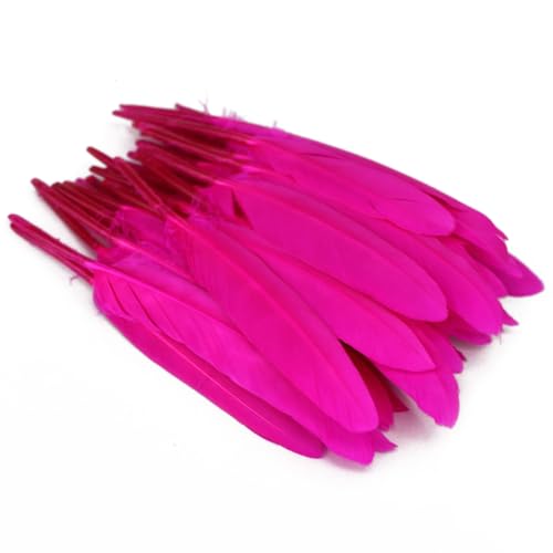 Anevous 100 Stück Federn, Federn zum Basteln Federn Lang Bastelfedern zum Karnival Dekoration, Feder Deko für DIY Basteln, Traumfänger, Hochzeit Deko, Kopfschmucksfedern Ohrring,Rosenrot von Anevous