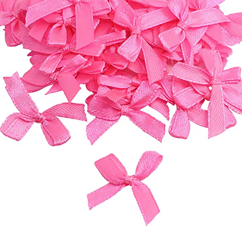 Anevous 100 Stück Mini Satinband Schleifen,3×2.5cm Mini Bow Satinschleife,6mm Band Bögen aus Polyester,Kleine Deko Schleife für DIY Basteln,Nähen,Applikationen,Party,Hochzeit,Geschenk Box,Pink von Anevous