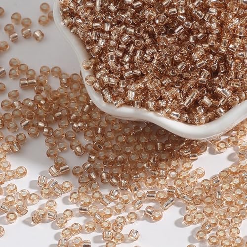 Anevous 1000 Stück 2mm Perlen zum Auffädeln, Glas Perlen für Armbänder, Lose Beads, Bastelnperlen Schmuck für DIY Halsketten, Handwerk Deko Schmuckherstellung, Armbänder,Champagner Anevous 1000 Stück 2mm Perlen zum Auffädeln, Glas Perlen für Armbänder, Lose Beads, Bastelnperlen Schmuck für DIY Halsketten, Handwerk Deko Schmuckherstellung, Armbänder,Champagner von Anevous