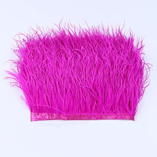 Anevous 2 m Federn Fransen Borte, Straußenfedern Trim, Fransen mit Satinband Fringe, Flauschigen Gefieder Plüsch Feder für DIY Nähen Handwerk Mode Kleid, Weihnachten Kostüme Dekoration,Rosenrot Anevous 2 m Federn Fransen Borte, Straußenfedern Trim, Fransen mit Satinband Fringe, Flauschigen Gefieder Plüsch Feder für DIY Nähen Handwerk Mode Kleid, Weihnachten Kostüme Dekoration,Rosenrot von Anevous