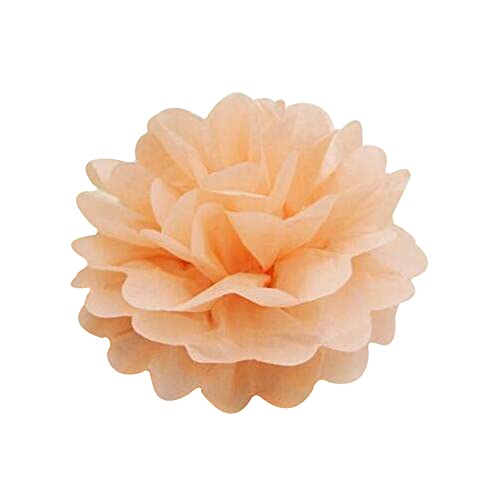 Anevous 30 Stück Deko Seidenpapier Pompons, Dekorpapier Pompoms, Papier Blumen Ball, Pom Poms Dekoration Blumenball für Hochzeit Brautparty Geburtstag Party Karneval,Champagner von Anevous