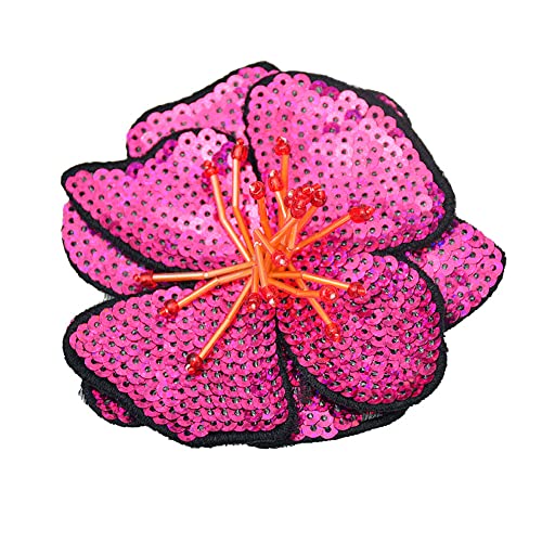 Anevous 4 Stück Pailletten Blumen Applikationen,Blumen Patches Zum Aufnähen,Flicken Blumen Aufnäher,Patch Deko für DIY Kleidung,Mütze,Schuhe,Jeans,Rucksäcke,Lila Anevous 4 Stück Pailletten Blumen Applikationen,Blumen Patches Zum Aufnähen,Flicken Blumen Aufnäher,Patch Deko für DIY Kleidung,Mütze,Schuhe,Jeans,Rucksäcke,Lila von Anevous