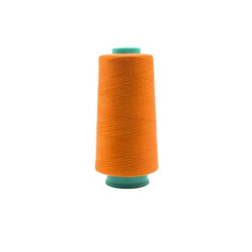 Anevous NäHgarn aus Polyester NäHmaschine, Universal Nähmaschinengarn Reißfest UV Beständig Robustes NäHgarn für Hand und Maschinennähen Kleidung, Steppdecke, Friesen, Geldbörsen,Farbe 21,3000 Yards von Anevous