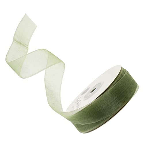 Angoily 1 Rolle Gürtel aus Schneegaze Gegenwärtig Hochzeit Bandumwicklung Party wickeln seidenband ribbon seidenbänder Geschenkband aus Tüll Multifunktions-Bastelband Polyester Green von Angoily