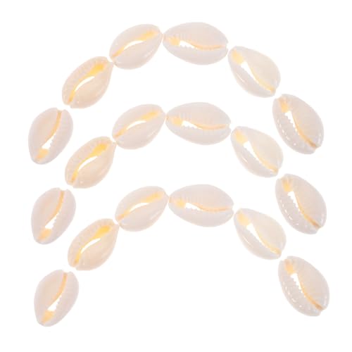 Angoily 100 Stück Muschelschmuck Conch Schmuckdekor Muschelanhänger Charm Muschelperlen Basteln Muscheln Perlen Schmuckherstellung Charmante Flache Perlen Muschel Für von Angoily