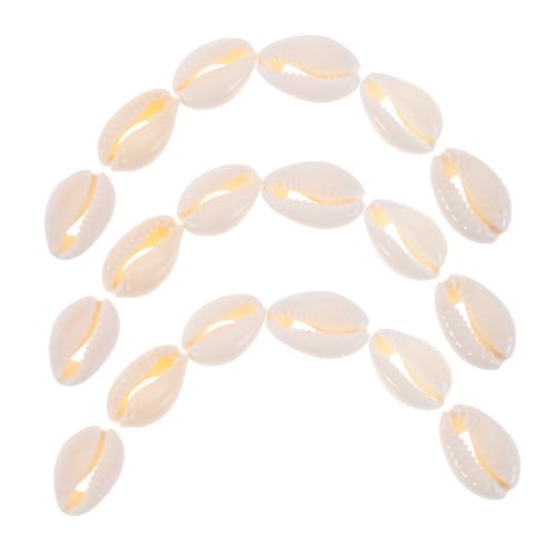 Angoily 100 Stück Natürliche Spiralmuscheln Perlen ohne Handgeschnittene Cowrie Muscheln für Schmuckherstellung DIY Armbänder Halsketten Bastelprojekte und Strandparty-dekoration Angoily 100 Stück Natürliche Spiralmuscheln Perlen ohne Handgeschnittene Cowrie Muscheln für Schmuckherstellung DIY Armbänder Halsketten Bastelprojekte und Strandparty-dekoration von Angoily