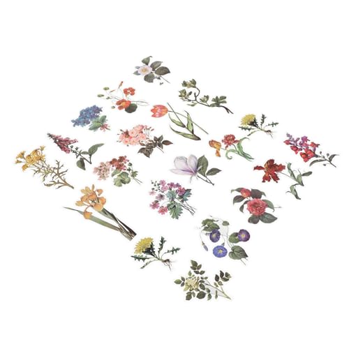 Angoily 120 Stück Teiliges Vintage Pflanzen Sticker Selbstklebende Dekorative Aufkleber für Scrapbooking Briefumschlagversiegelung DIY Tagebuch Langlebig und Rückstandsfrei Vielseitig Angoily 120 Stück Teiliges Vintage Pflanzen Sticker Selbstklebende Dekorative Aufkleber für Scrapbooking Briefumschlagversiegelung DIY Tagebuch Langlebig und Rückstandsfrei Vielseitig von Angoily
