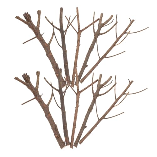 Angoily 15 Stück Teiliges Lange Holzstäbe mit Weihnachts für DIY Bastelprojekte Natürliche Trockene Äste Kreative Foto Requisiten und Weihnachtliche Dekoration Angoily 15 Stück Teiliges Lange Holzstäbe mit Weihnachts für DIY Bastelprojekte Natürliche Trockene Äste Kreative Foto Requisiten und Weihnachtliche Dekoration von Angoily
