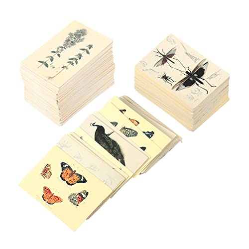 Angoily 2 Packungen Material für Taschencollagen Papier Geburtstag -auf ästhetisch Retro-Memo Sammelalbum Nachrichtenaufkleber Collage-Material-Memo Mini-Memo Weißer Karton Angoily 2 Packungen Material für Taschencollagen Papier Geburtstag -auf ästhetisch Retro-Memo Sammelalbum Nachrichtenaufkleber Collage-Material-Memo Mini-Memo Weißer Karton von Angoily