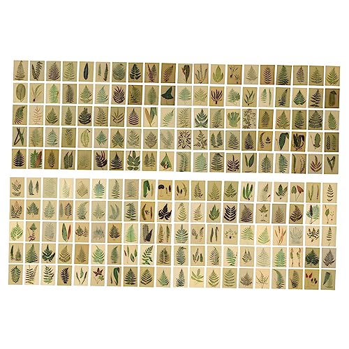 Angoily 2 Packungen Notizkarte Papier Geburtstagskarte Hoch Gepunktet Erwachsene Ästhetisch Zu Journaling Collage-karten Mini-memo Nachrichtenaufkleber Weißer Karton Angoily 2 Packungen Notizkarte Papier Geburtstagskarte Hoch Gepunktet Erwachsene Ästhetisch Zu Journaling Collage-karten Mini-memo Nachrichtenaufkleber Weißer Karton von Angoily