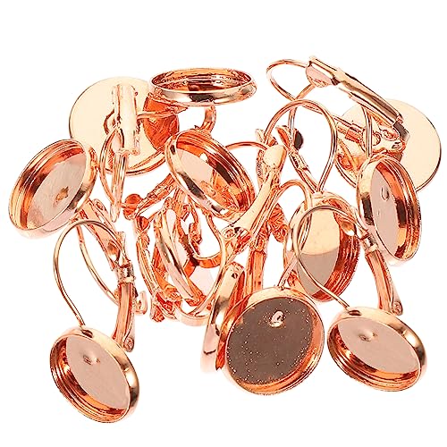 Angoily 20 Stück Ohrringe Zubehör französisch für rostfrei Tablett ohrringset ohring set Ohrring Schmuckzubehör Ohrring DIY Mädchen Ohrringe Ohrhaken aus Sterlingsilber Eisen Rose Gold von Angoily