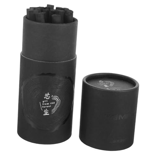 Angoily 20 Stück Schüler komprimierten Holzkohle zeichenkohle charcoal pencil professionelle Kohlestäbe Zeichnen von komprimierter Kohle professionelle bleistifte Kohlestäbchen für Schüler von Angoily