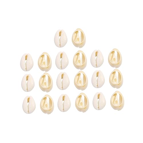 Angoily 20 Stück Teiliges Muschel DIY Natürliche Conch Anhänger für Halsketten Armbänder Ohrringe Basteln Strand Schmuck Zubehör Naturbelassen Leicht Langlebig Angoily 20 Stück Teiliges Muschel DIY Natürliche Conch Anhänger für Halsketten Armbänder Ohrringe Basteln Strand Schmuck Zubehör Naturbelassen Leicht Langlebig von Angoily