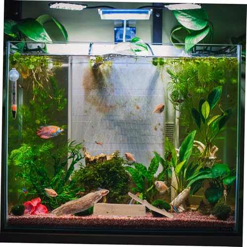 Angoily 20 Stück Teiliges Natürliche Treibholzstücke Polierte Holzblöcke für DIY Bastelprojekte Aquarium Dekoration Vielseitige Holzskulpturen Naturbelassene Holzstücke für Wohnkultur und Angoily 20 Stück Teiliges Natürliche Treibholzstücke Polierte Holzblöcke für DIY Bastelprojekte Aquarium Dekoration Vielseitige Holzskulpturen Naturbelassene Holzstücke für Wohnkultur und von Angoily