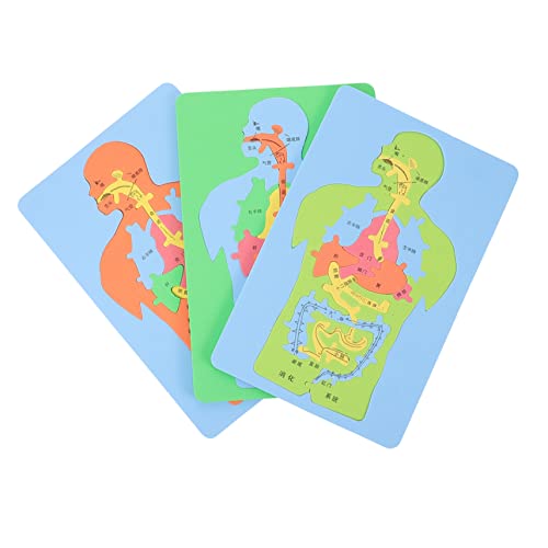 Angoily 3 Stück Teiliges Puzzle für Menschliche Lernspielzeug Kognitiven Fähigkeiten und Hand Augen Koordination für Kindereva Jigsaw Zufällige Farbe Angoily 3 Stück Teiliges Puzzle für Menschliche Lernspielzeug Kognitiven Fähigkeiten und Hand Augen Koordination für Kindereva Jigsaw Zufällige Farbe von Angoily