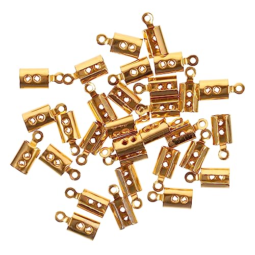 Angoily 30 Stück Lederband Clip Armband Metall Schmuckverschlüsse Schmuckverschlüsse Für Halsketten Verschlüsse Für Schmuck Juwelenverschlüsse Metallverschlüsse Halskettenschnallen von Angoily