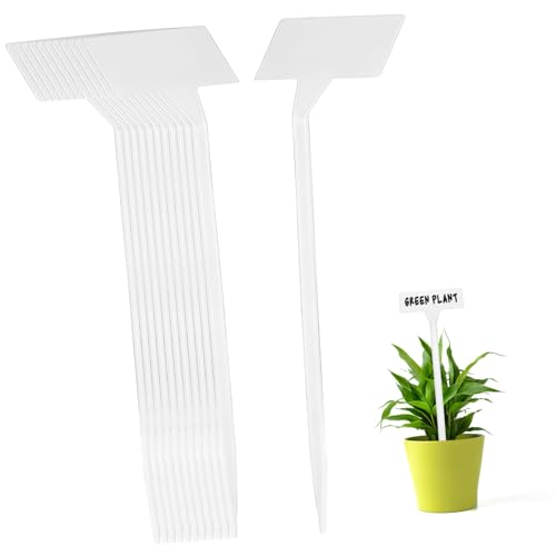 Angoily 35 Stück dekorativer Einsatz markieren Zubehör Grün drinnen Baummarkierungen Anlage pflanzenetiketten pflanzenschilder Blumenkennzeichnung garten etiketten Topfmarker Plastik Weiß Angoily 35 Stück dekorativer Einsatz markieren Zubehör Grün drinnen Baummarkierungen Anlage pflanzenetiketten pflanzenschilder Blumenkennzeichnung garten etiketten Topfmarker Plastik Weiß von Angoily