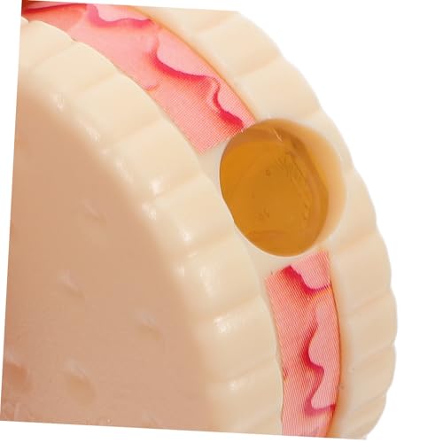 Angoily 36 Stück Teiliges Mini-bleistiftspitzer Kawaii Keksform Handlicher Anspitzer für Kleinkinder Schnelles Effizientes Schärfen Praktisch für Schule Partygeschenke und Unterwegs von Angoily
