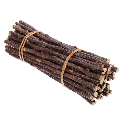 Angoily 50 Stück Natürliche Holzstäbe aus Birkenholz für DIY Bastelprojekte Stabile Baumzweige für Dekoration Foto Requisiten Kreative Handarbeiten und Schulprojekte Angoily 50 Stück Natürliche Holzstäbe aus Birkenholz für DIY Bastelprojekte Stabile Baumzweige für Dekoration Foto Requisiten Kreative Handarbeiten und Schulprojekte von Angoily