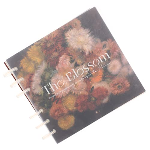 Angoily Budget Organizer Notizbuch Abnehmbarer Budget Binder für Geldverwaltung und Sparen Finanzplaner Notizbuch mit Buntem Cover und Losen Blättern von Angoily