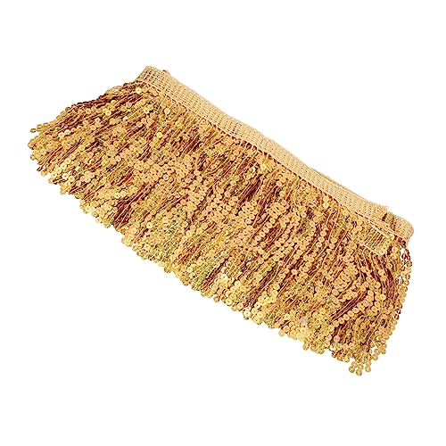 Angoily Sequin Tassel Trim Langlebige DIY Paillettenborte für Latein Tanzkostüme Vielseitige Bühnenkleidung Dekoration Hochwertiges Nähzubehör für Handarbeiten von Angoily