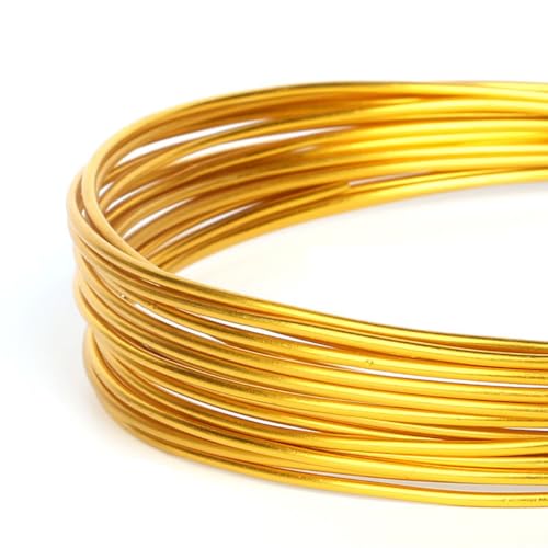 Aniyan Aluminiumdraht Biegsam Weicher Basteldraht Schmuckdraht Für Bonsai Modellieren DIY Handwerk Schmuckherstellung (1mmx10m Gold) von Aniyan