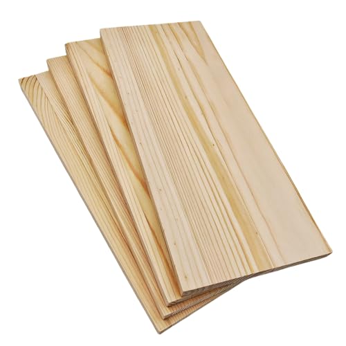 Rechteckige Holzbretter, unlackierte Holzblöcke zum Basteln, blanko, zum Schnitzen, Malen und Brennen (24,9 x 9,9 x 1 cm) von Anktily