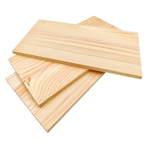 Rechteckige Holzbretter, unlackierte Holzblöcke zum Basteln, blanko, zum Schnitzen, Malen und Brennen (30 x 15 x 1 cm) von Anktily