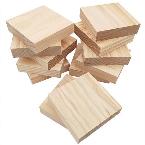 Unlackierte quadratische Holzblöcke zum Basteln, 10 x 10 x 2,5 cm, blanko, Kiefernholzbretter für Holzschnitzerei, DIY-Holzuntersetzer, Malen und Brennen, 12 Stück Unlackierte quadratische Holzblöcke zum Basteln, 10 x 10 x 2,5 cm, blanko, Kiefernholzbretter für Holzschnitzerei, DIY-Holzuntersetzer, Malen und Brennen, 12 Stück von Anktily