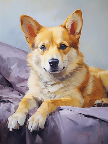 Malen Nach Zahlen Hund Corgi Malen Nach Zahlen Kinder Anfänger, Malen-Nach-Zahlen ab 9 Jahre Mädchen Geschenke, DIY Ölgemälde Set mit Pinseln Acrylpigment Leinwan, Home Wanddeko Wohnzimme 40x50cm von Anmiong