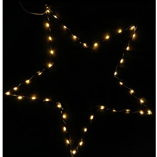 Annastore LED Weihnachtsstern Ø 40 cm mit 30 LED´s - Beleuchtung Weihnachten - warmweiß mit Timer - batteriebetrieben (40 cm / 30 LED) von Annastore