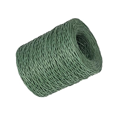 Anneome 1 Rolle Papierseildraht Drahtstiele Herstellung Spiral- Blumen- Pflanzendraht Schleife Bindedraht Blumendraht Drahtwickeldraht Draht Für Blumen Geschenkband Band Seil Green Anneome 1 Rolle Papierseildraht Drahtstiele Herstellung Spiral- Blumen- Pflanzendraht Schleife Bindedraht Blumendraht Drahtwickeldraht Draht Für Blumen Geschenkband Band Seil Green von Anneome