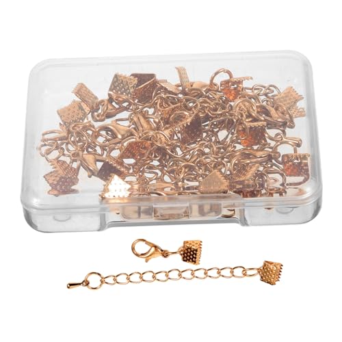 Anneome 10Sätze Teiliges Goldene Schmuckzubehör Klemmen Hummerverschlüsse für DIY Armbänder Robustes für Handwerksprojekte und Schmuckherstellung von Anneome