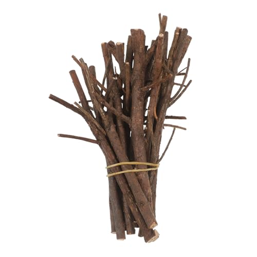 Anneome 15 Stück Teiliges Weihnachts Dekoholzstiele Simulierte Kiefernzapfen und Trockene Zweige Kreative DIY Bastelstäbe für Foto Requisiten und Handwerksprojekte Anneome 15 Stück Teiliges Weihnachts Dekoholzstiele Simulierte Kiefernzapfen und Trockene Zweige Kreative DIY Bastelstäbe für Foto Requisiten und Handwerksprojekte von Anneome